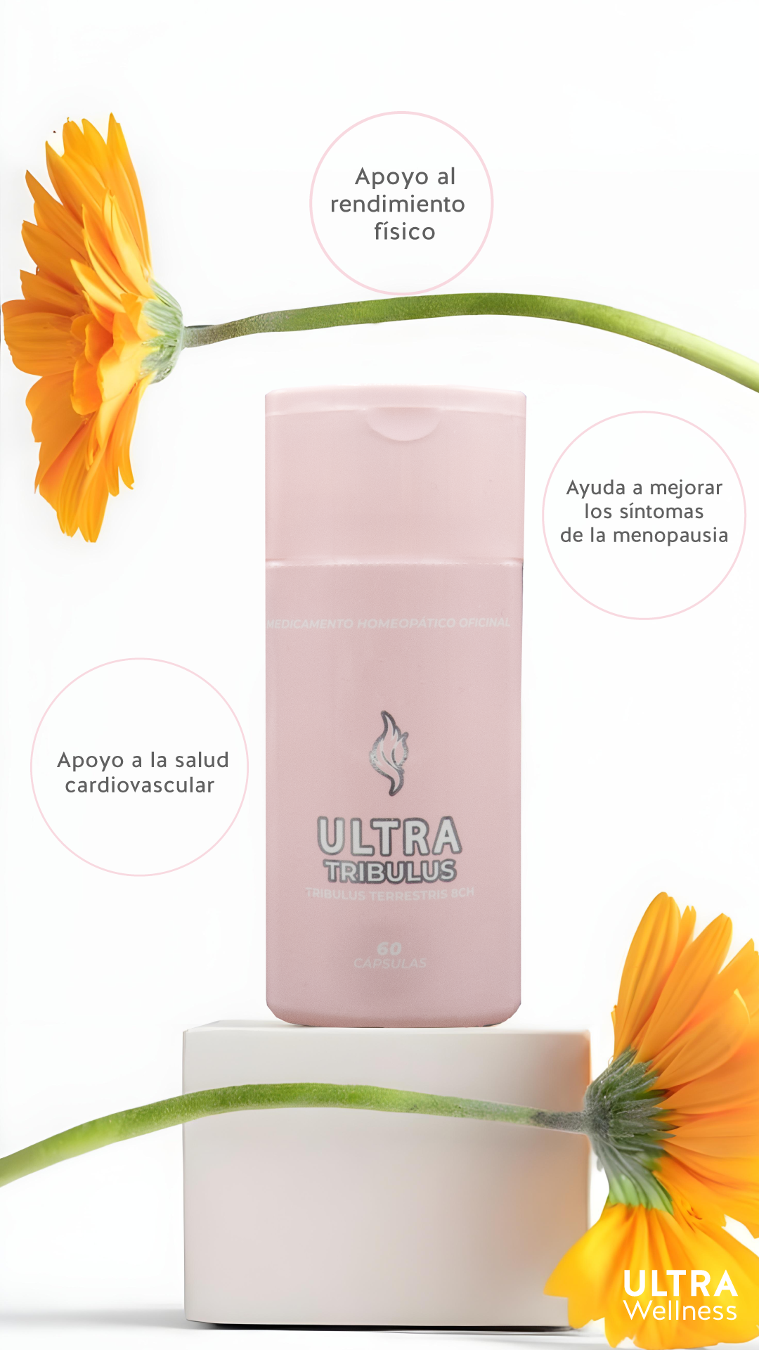 🔥 TRIBULUS X60 – BY ULTRA | Potencia & Rendimiento