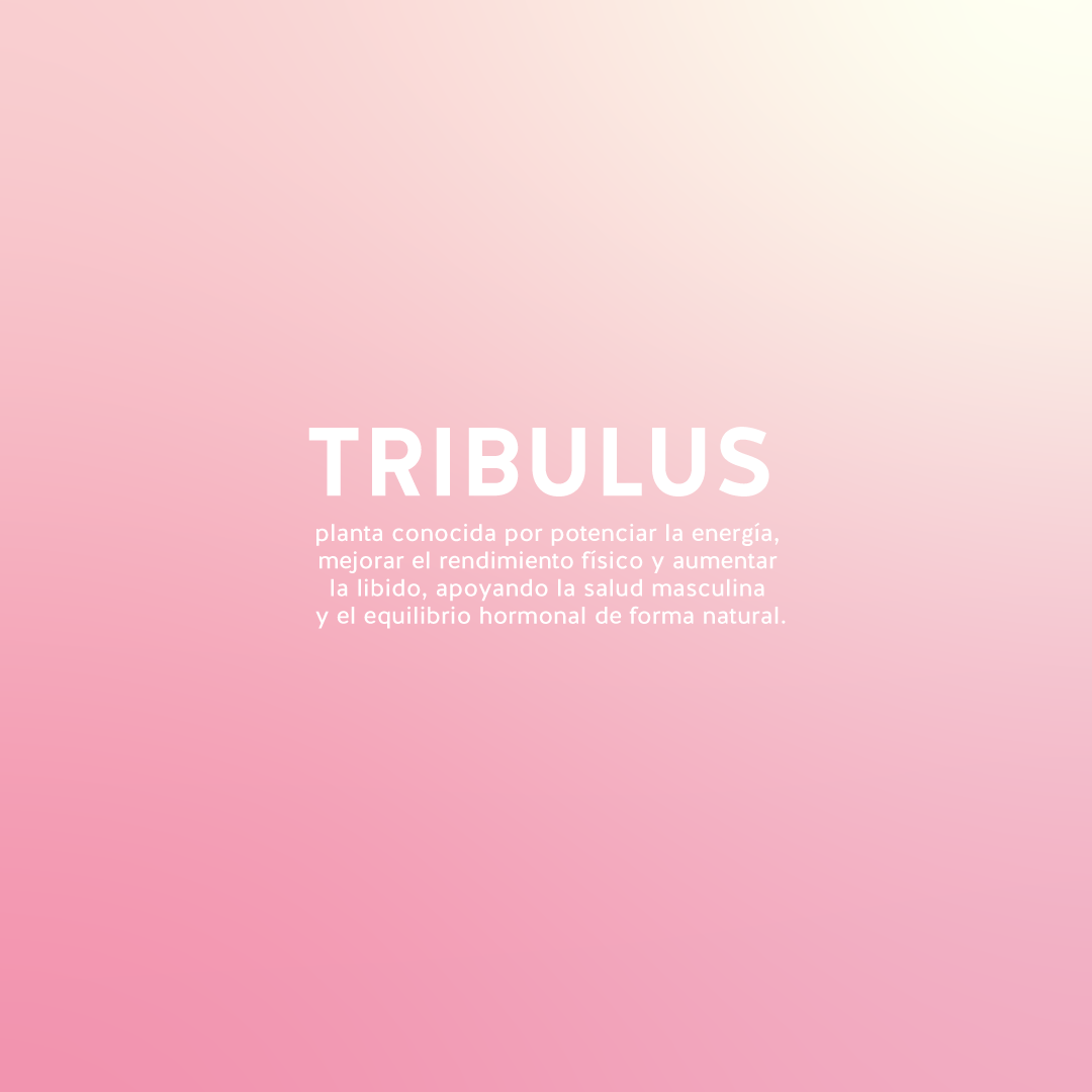 🔥 TRIBULUS X60 – BY ULTRA | Potencia & Rendimiento